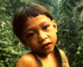 Penan_front_pt_cropped