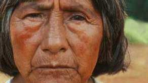 Guarani_survival_page_index_small