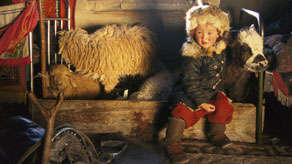Shop-for-survival_page_index_small