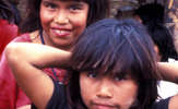 Par-ayo-jm-11_thumb