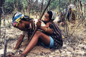 Donne Boscimani raccolgono radici e bacche nella Central Kalahari Game Reserve, Botswana.