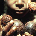Chico yalí con semillas, Papúa.
 &copy; William Milliken/Survival
