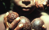 Ind-yali-wm-07_thumb