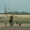 Wichí fisherman use the nets to scoop the fish up out of the muddy waters of the river, Argentina.  &copy; John Palmer/Survival