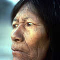 Wichi woman looks over her homeland, Argentina. &copy; John Palmer/Survival