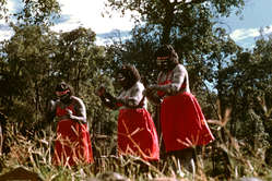 Tanzende Aborigines, Australien.