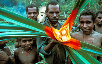 Ind-yali-wm-15a_bulletin_band