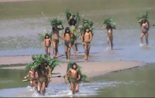 The Mashco-Piro's ancestral land is under pressure from loggers, drug-traffickers and oil companies.