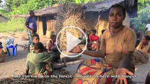 Watch Bayaka 'Pygmies' and Baiga speak out about the abuse by wildlife guards, and harassment to leave their lands.