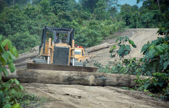 Mal-pen-sg-127_bulletin_band