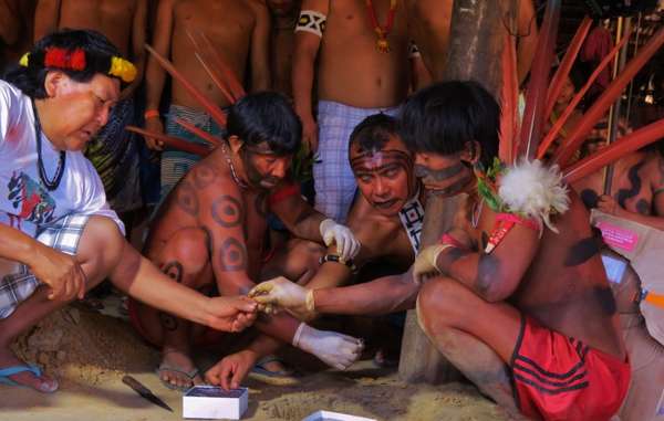 Davi Kopenawa and other Yanomami burying recently returned blood samples in a funerary ceremony, April 2015.