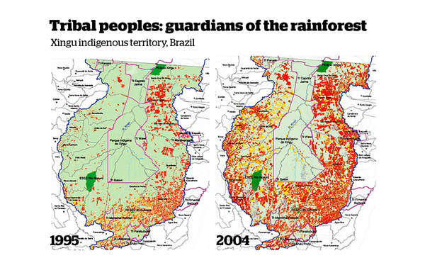 The Xingu indigenous park (outlined in pink) is home to several tribes. It provides a vital barrier to deforestation (in red) in the Brazilian Amazon.