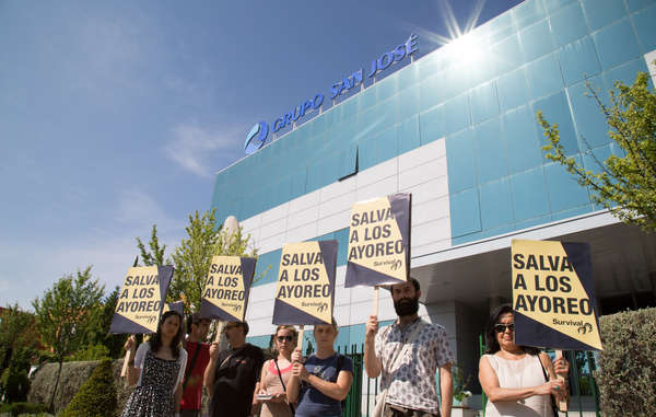 Protestors demanded 'Save the Ayoreo' at the annual shareholder meeting of Spanish company Grupo San José.