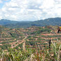 Much of the Penan's forest has been logged, without the Penan's consent. Oil palm plantation companies are now able to move in which clears the forest completely, leaving the Penan with nothing.  &copy; Survival International