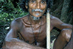 Many Wanniyala-Aetto have been fined for hunting in their forest. Some have even been shot dead.