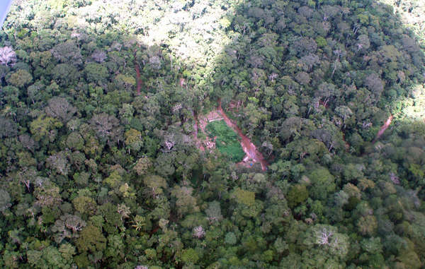 An illegal logging camp in an uncontacted tribes' reserve in south-east Peru.'