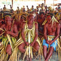 Makuxi wearing paishara costumes for a meeting at Bismark to discuss their land claims, Raposa Serra do Sol, Brazil.  &copy; Fiona Watson/Survival