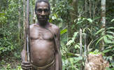 Indo-wp-kor-dh-102-1_thumb