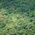 Korowai tree-houses seen from the air, West Papua. &copy; Survival International