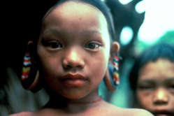 The Penan depend on their forest for survival.