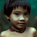 Les Penan vivent dans les forêts du Sarawak depuis des temps immémoriaux. &copy; Robin Hanbury-Tenison/Survival
