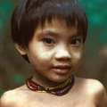 Les Penan vivent dans les forêts du Sarawak depuis des temps immémoriaux.  &copy; Robin Hanbury-Tenison/Survival