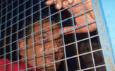 Ind-misc-s-01_thumb