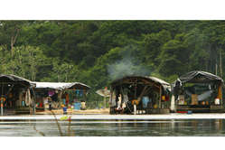 berges-guyane_news_medium.jpg