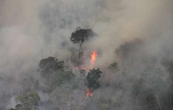Fires are destroying pre-Amazon forest and threatening to wipe out uncontacted Indians for the second time in less than a year