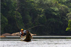 4158-guyane_news_medium.jpg