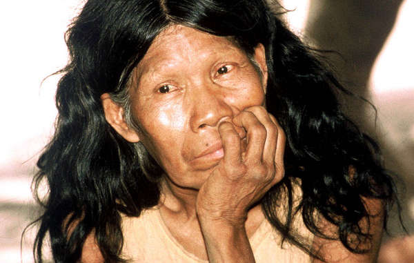 Ayoreo Indians have lost the majority of their ancestral lands to outsiders who destroy it to make way for cattle farming.