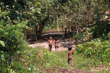Pirahã boys play in the forest, Amazonas state, north-west Brazil.