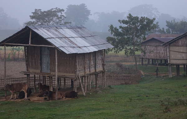 Many people in and around Kaziranga were moved there by the British to work on tea plantations. They face eviction, displacement, and frequent harassment by forest guards.