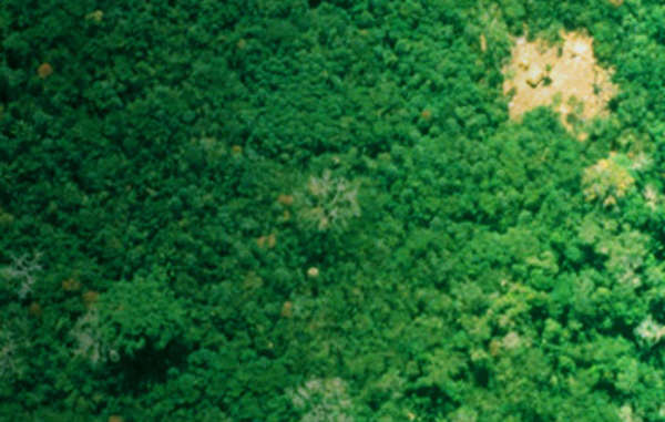 "Aldeas remotas de la tribu uru eu wau wau vistas desde el aire, Brasil."
