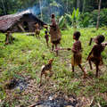 Kombai women and children return home with firewood and fruits gathered in the forest. &copy; Grenville Charles/Survival