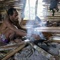 Korowai man baking sago over the fire, West Papua. &copy; Survival
