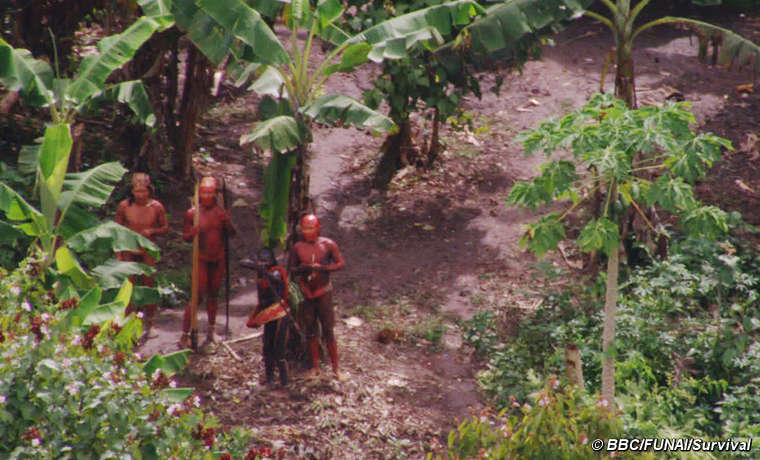 Una imagen de la nueva grabación de un pueblo indígena aislado en la Amazonia brasileña.