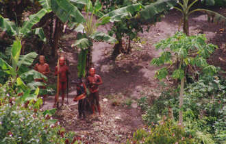 Uncontacted-footage-thumb-01_bulletin_band