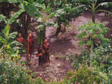 Non sono trib� �incontaminate� n� �primitive�