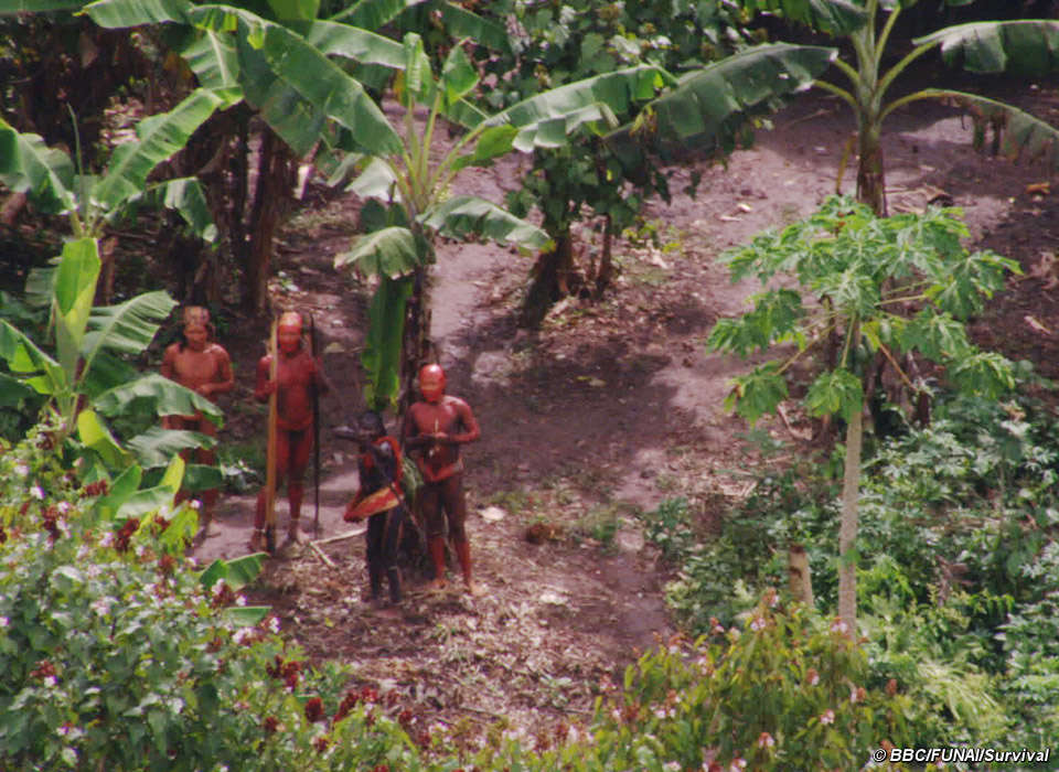 Uncontacted Indians of Brazil Survival International
