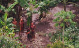 Uncontacted-footage-thumb-01_thumb