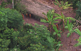 Uncontacted-footage-thumb_bulletin_band