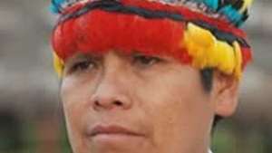 Acacho_300_wide