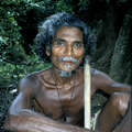 Many Wanniyala-Aetto have been fined for hunting in their forest. Some have even been shot dead. &copy; Survival