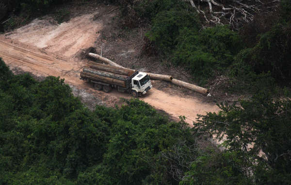 Los madereros ilegales están amenazando las tierras y vidas de los ka’apores.