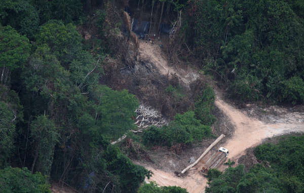 Loggers are seen in forest on Awá territory. Illegal forest destruction could soon make it impossible for the tribe to survive.