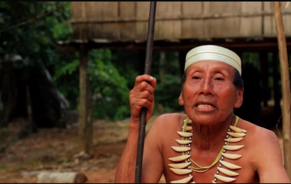 Salomon Dunu, a Matsés man who survived the trauma of first contact, speaks to a Survival campaigner about the threat of oil exploration to his people. A video of Salomon has been seen by over 4 million people through Survival’s Facebook page.