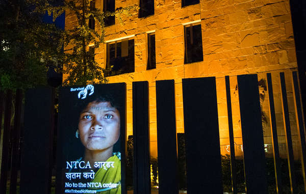 Thousands of Indian tribal peoples face eviction from their ancestral lands, which are being turned into tourist-friendly tiger reserves