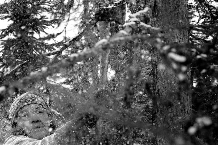 Elder Manishai Nui cuts branches from a tree while clearing an old trail to hunting grounds to the North and West of Natuashish.