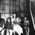 Guarani, Brazil &copy; Joaó Ripper/Survival